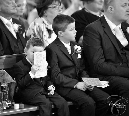 Pageboy Cuteness
